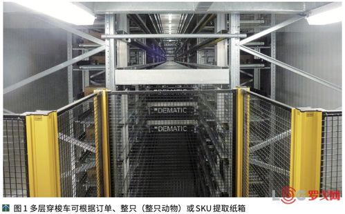 澳大利亞NCMC肉類加工廠提高競爭力的秘訣 自動化物流系統(tǒng)與計(jì)算機(jī)系統(tǒng)集成服務(wù)